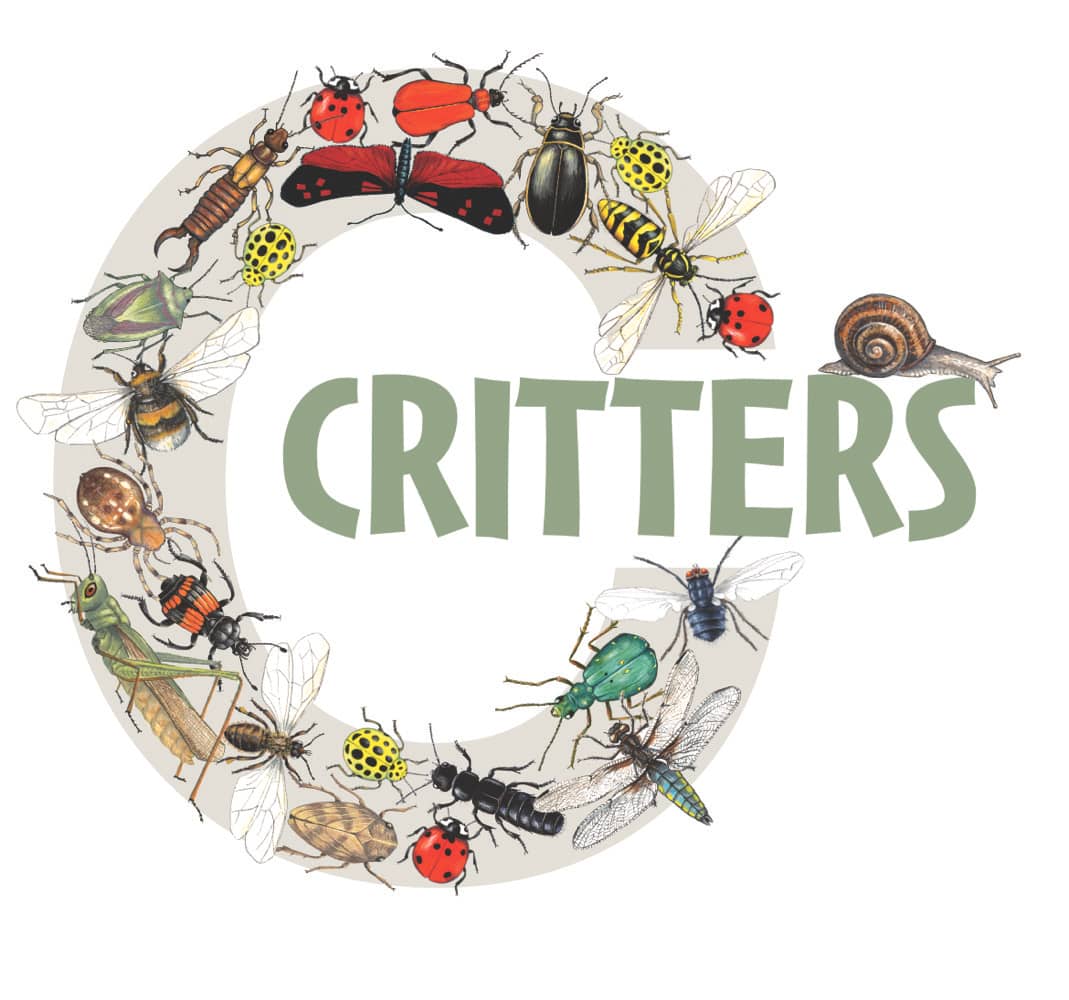 Illustrated letter C critter