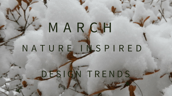 March Blog Header