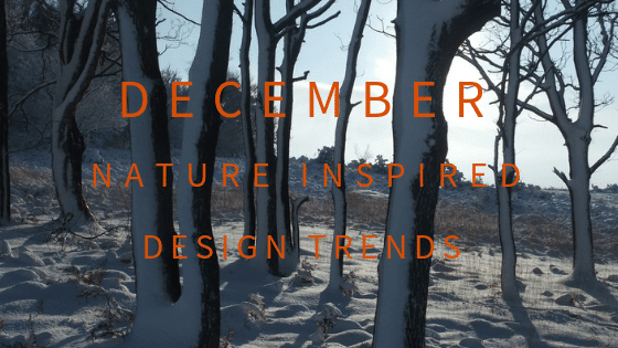 December Blog Header