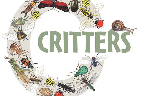 Illustrated letter C critter 1000px23